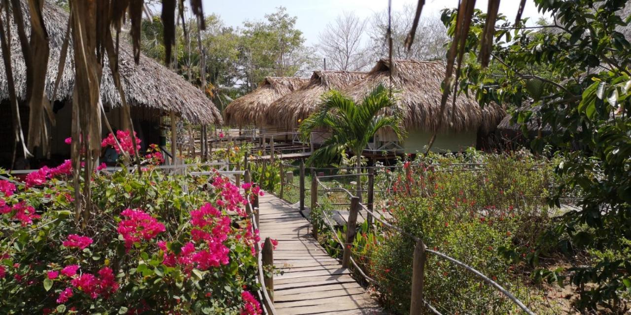Cabanas La Mucura San Onofre Buitenkant foto